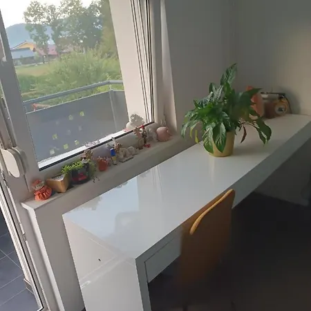 公寓 Apartma Pri Renati 采列