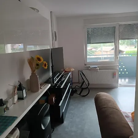 Apartment Apartma Pri Renati *