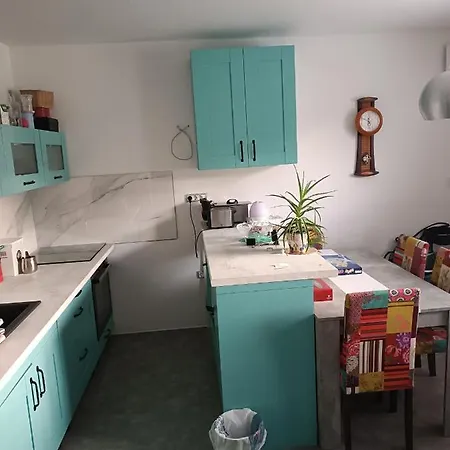 公寓 Apartma Pri Renati